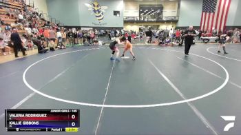 145 lbs Cons. Round 2 - Valeria Rodriguez, IL vs Kallie Gibbons, IA