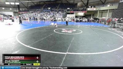 56 lbs Cons. Round 2 - Titus Brackebusch, Cherry Creek Wrestling Club vs Zylas Tackett, Hells Canyon Wrestling