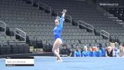 Faith Lerro American Twisters - Floor