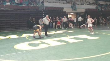 113 lbs Semifinal - Jake Strickland, Hillcrest vs Sean Saradpon, Goose Creek