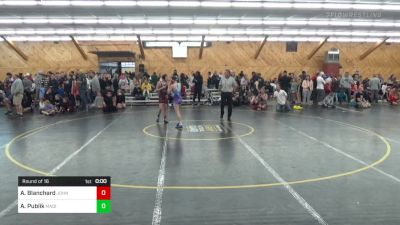 105 lbs Round Of 16 - Alana Blanchard, Johnson City vs Alyssa Publik, Madison Twp