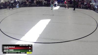 123 lbs Quarterfinal - Caleb Rocole, Nebraska vs Gavin Cheek, Nebraska Elite Wrestling Club