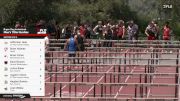 Men's 110m Hurdles, Finals 2