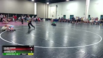 138 lbs Quarters & Wb (16 Team) - Camden Baum, Team Nauman Pink vs Caleb Swedin, Iowa Gold