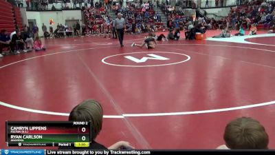 110 lbs Round 2 - Ryan Carlson, Anamosa vs Camryn Lippens, Fulton (H.S.)