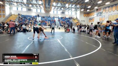 165 lbs Cons. Round 4 - Gabriel Dell`arciprete, Cowboy Wrestling Club vs Aiden Wood, Hagerty High School