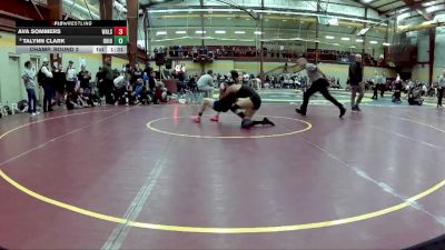 125 lbs Champ. Round 2 - Ava Sommers, Walsh Jesuit vs Talynn Clark, Ohio County HS