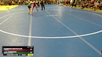 130 lbs Cons. Round 2 - Harrison Rentschler, TMBWWG vs Liam Roberson, Rochester Mayo