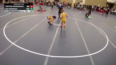 12U - 160 lbs Cons. Round 2 - Dallas Yang, Rosemount Irish Wrestling vs Jayce Larson, Forest Lake Wrestling Club