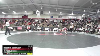 133 lbs Semifinal - Thaddeus Long, McKendree vs Jeremiah Echevarria, Gannon