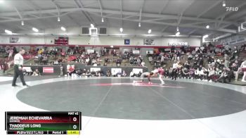 133 lbs Semifinal - Thaddeus Long, McKendree vs Jeremiah Echevarria, Gannon