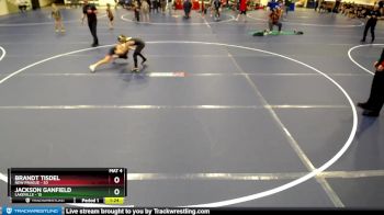 88 lbs Round 4 (6 Team) - Jackson Ganfield, Lakeville vs Brandt Tisdel, New Prague