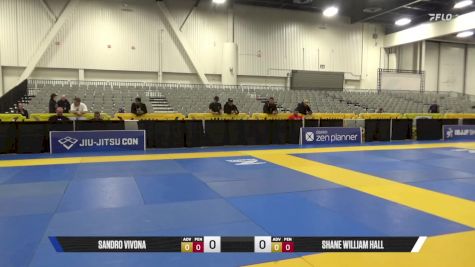 Shane William Hall vs Sandro Vivona 2025 World IBJJF Jiu-Jitsu No-Gi Championship