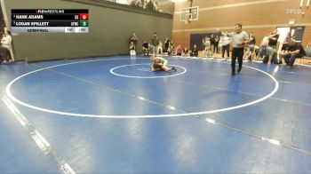 85 lbs Semifinal - Logan Spillett, American Falls Wrestling Club vs Hank Adams, Declo Stingers
