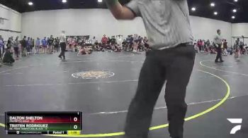 167 lbs Round 2 (4 Team) - Dalton Shelton, Palmetto Gold vs Tristen Rodriguez, NC Pride Wrestling Black