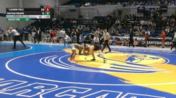 133 lbs Quarterfinal - Caiden Pelc, Newberry vs Daiyan Heard, Coker