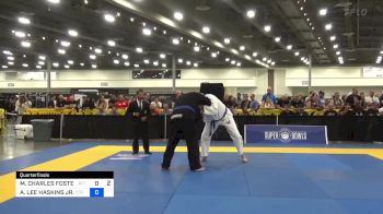 MICHAEL CHARLES FOSTER vs ARTHUR LEE HASKINS JR. 2024 World Masters IBJJF Jiu-Jitsu Championship