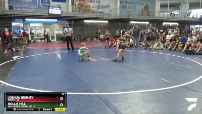 60 lbs Quarterfinals (8 Team) - Joshua Hughey, TNWCC vs Hollis Hill, Williamson County WC