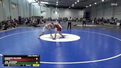 141 lbs Cons. Round 3 - Joe Jackson, Roanoke College vs Andrew Palmeri, Norwich