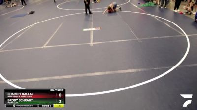 119 lbs Cons. Round 2 - Brody Schraut, Minnesota vs Charley Kallal, New Prague Wrestling