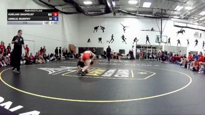 110 lbs Round 2 (16 Team) - Amelia Murphy, King University vs Kaelani Shufeldt, North Central College