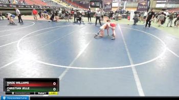 126 lbs Champ. Round 1 - Wade Williams, ID vs Christian Jelle, MN