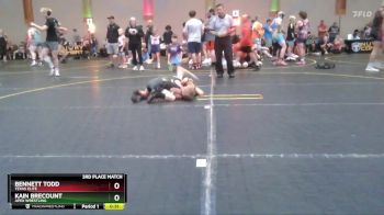 46 lbs 3rd Place Match - Bennett Todd, Texas Elite vs Kain Brecount, Apex Wrestling