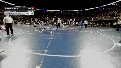 50 lbs Quarterfinal - Hunter Schuch, Nehsaminy vs James Susko, Moon