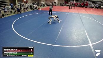 65 lbs Quarterfinals (8 Team) - Nathan Nelson, STMA (St. Michael/Albertville) vs Kamden Gallus, Sartell