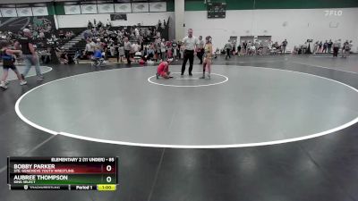 85 lbs Cons. Semi - Bobby Parker, Ste. Genevieve Youth Wrestling vs Aubree Thompson, King Select