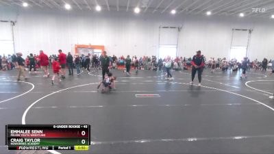 45 lbs Cons. Semi - Craig Taylor, NoWorries Academy vs Emmalee Senn, Pelion Youth Wrestling