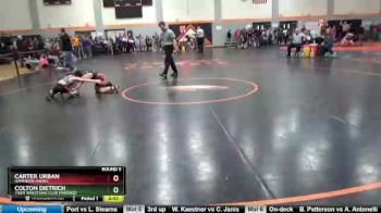 86 lbs Round 5 - Carter Urban, Hammerin Hawks vs Colton Dietrich, Tiger Wrestling Club Marengo