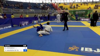 GREGORI DEMARCH vs PAULO ADERSON DE OLIVEIRA NUNES 2024 Brasileiro Jiu-Jitsu IBJJF