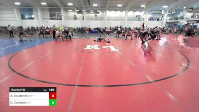 91 lbs Round Of 16 - Allen Gaudenzi, Newtown vs Dominic Cannata, Smitty's Wrestling Barn