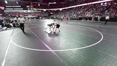 132 lbs Cons. Semis - Ezequiel Dominguez, Kenosha Indian Trail vs Mason Techmeier, Muskego
