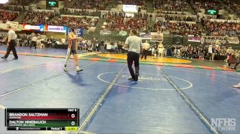 A - 132 lbs Champ. Round 1 - Brandon Saltzman, Hamilton vs Dalton Hinebauch, Lockwood (Billings)