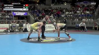 132 lbs Champ. Round 1 - Layne Horn, Rochester vs Tripp Haisley, Madison Grant