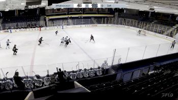 Replay: Home - 2024 Thunder HC vs Black Vees | Nov 22 @ 6 PM