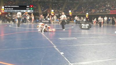 75 lbs Round Of 16 - Peyton Godshall, Wissahickon vs Ellie Ellis, Waynesburg