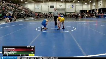 126 lbs Semis & 1st Wrestleback (8 Team) - Corban Hemje, Millard North vs Dayton Gipe, North Platte