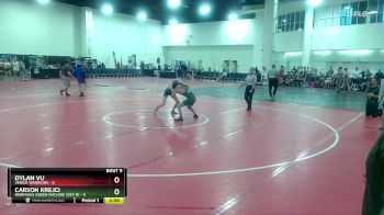 106 lbs Round 3 (6 Team) - Dylan Vu, Venice Warriors vs Carson Krejci, Nebraska Green Machine (Dev B)