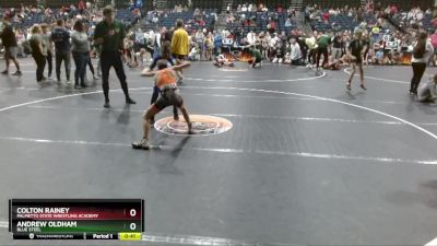 75 lbs Cons. Round 3 - Andrew Oldham, Blue Steel vs Colton Rainey, Palmetto State Wrestling Academy