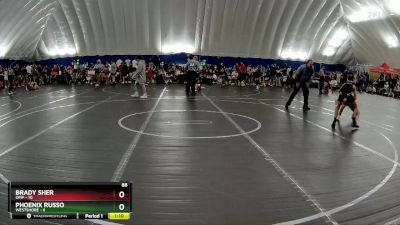 88 lbs Round 1 (8 Team) - Phoenix Russo, Westshore vs Brady Sher, OMP