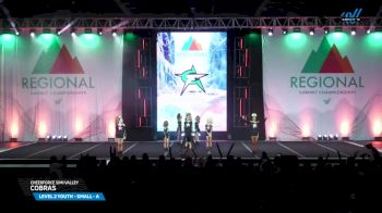 CheerForce Simi Valley - Cobras [2025 L2 Youth - Small - A Day 1] 2025 The West Regional Summit & The Recreational Summit