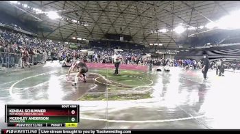 100 lbs Cons. Round 3 - Kendal Schumaier, Mat Demon Wrestling Club vs McKinley Anderson, Washington