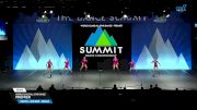 World Class All Star Dance - Premier [2025 Youth - Hip Hop - Small Semis] 2025 The Dance Summit