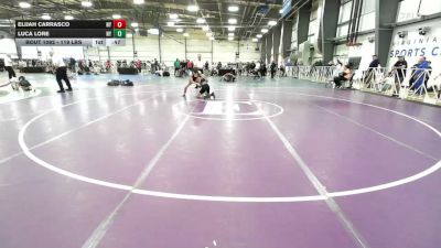 119 lbs Consi Of 32 #2 - Elijah Carrasco, NY vs Luca Lore, NY