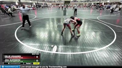 84-90 lbs Round 2 - Aria Sleznikow, Valley Elite Wrestling Club vs Millie Johansen, Team Nazar Training Center