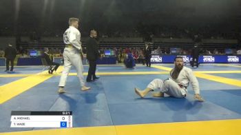 AARON MICHAEL JOHNSON vs TANNER WADE RICE 2018 Pan Jiu-Jitsu IBJJF Championship