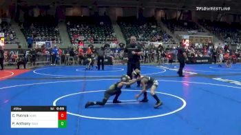 49 lbs Semifinal - Cole Patrick, Hudson WC vs Parker Anthony, Team Punisher Wrestling